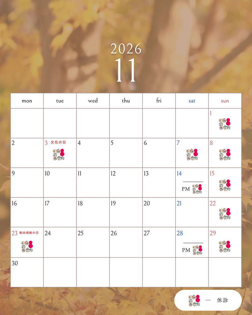 11月診療日